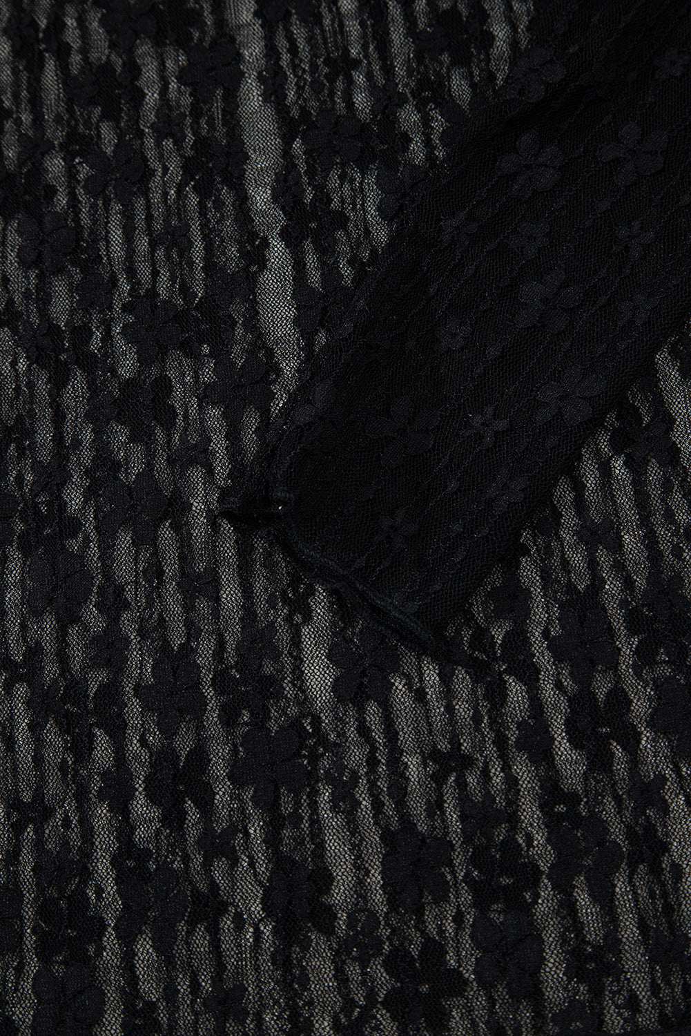 Black Sheer Floral Lace Long Sleeve Slim Fit Top